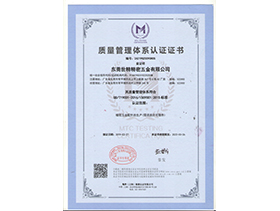 IS09001:2015质量管理体系认证
